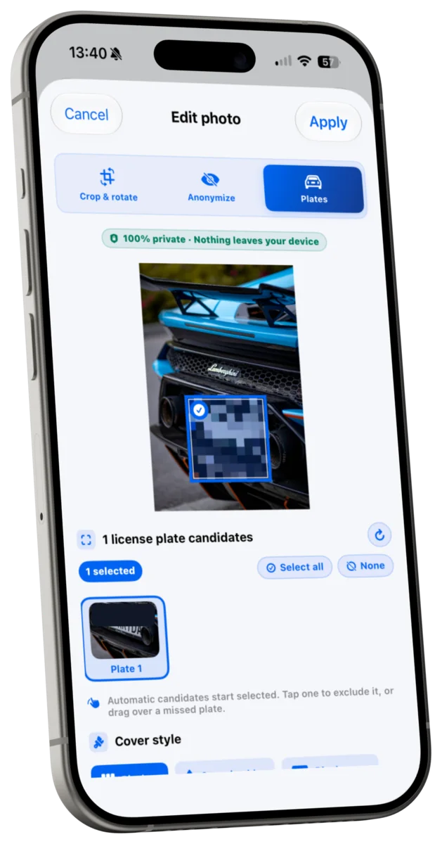 Review of possible license plates before anonymization